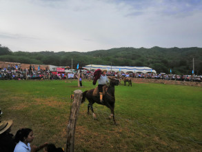 🇦🇷 Festival Rodéo Talapampa